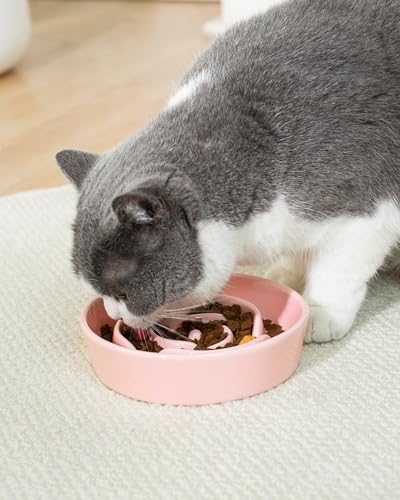 TRUVIC Ceramic Slow Feeder Dog Bowls Small Breed, 0.6 Cup Slow Feeder Cat Bowls for Fast Eaters, Ceramic Dog Food Dish no Black Chin, Puzzle Bowl for Small Dogs and Cats, Pink - color: 02-Pink, size: S-0.6 Cups