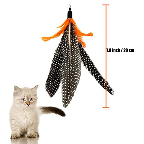Cat Feather Toys Refill, 6 Pieces Cat Wand Attachments Da Bird Feathers Toy for Indoor Cats - color: 6 PCS Cat Toy Feather Refills