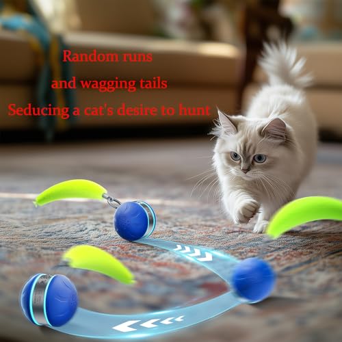 Interactive Cat Toy Ball Automatic Interactive Cat Toys for Indoor Cats with Birdsong 3 Tails 3 Modes Newly Upgraded Speedy 2.0 Tail Cat Toys for Kitten/Small/Medium/Large Cats to Keep Them Busy(Blue) - color: C01-Blue