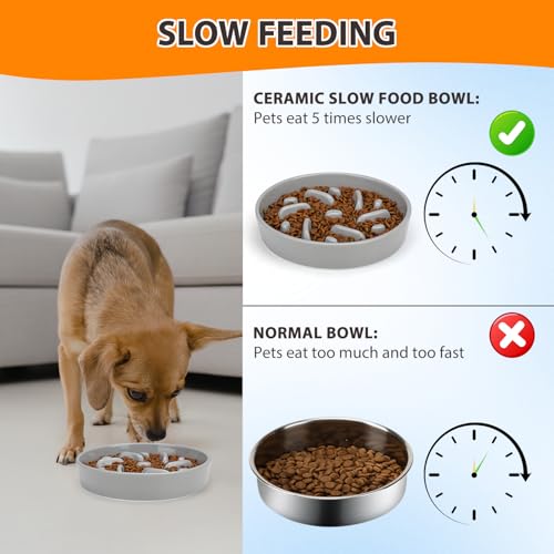 Ceramic Slow Feeder Dog Bowl, 2 Cups Maze Puzzle Dish to Slow Down Eating - color: Maze - Grey