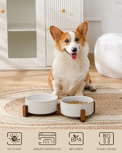 MALACASA Dog Bowl Set, Ceramic Bowls with Walnut Wood Stand, 4 Cups - color: Rhombic+Polka Dots, size: 4 Cups