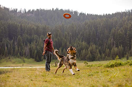 Ruffwear, Hydro Plane Flying Disc Dog Toy, Biolumin Blue, 12", Large