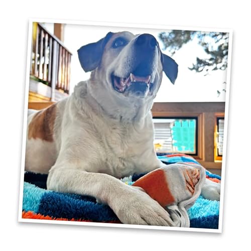 Doggijuana Tuffer Chewer Dog Toy, Pumpkin Spice Latte | Fall Plush, Squeaky - style: Pumpkin Spice Latte