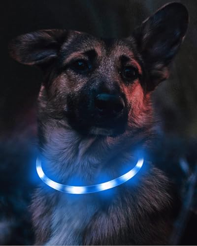 Joytale Light Up Dog Collar, LED Silicone Cut-to-Fit Rainproof, Blue - color: Blue
