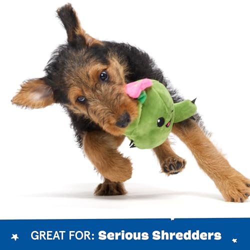 BarkBox Consuela the Cactus 2-in-1 Interactive Plush Dog Toy - color: Consuela - Small