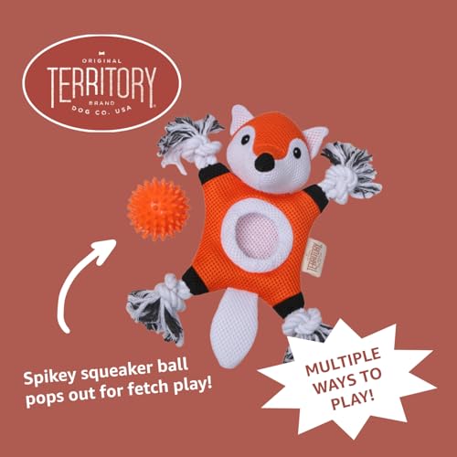 Territory 2 in 1 No Stuffing Removable Fetch Ball Tug Dog Toy for Small Medium Large Dogs, Black Bear - style: Black Bear