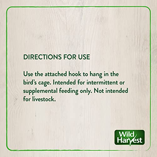 Wild Harvest Foraging Instincts Peck n’ Play Interactive Treat, 2 Ounce, for Small Birds (Pack of 2) - size: 2 Ounce (Pack of 2)