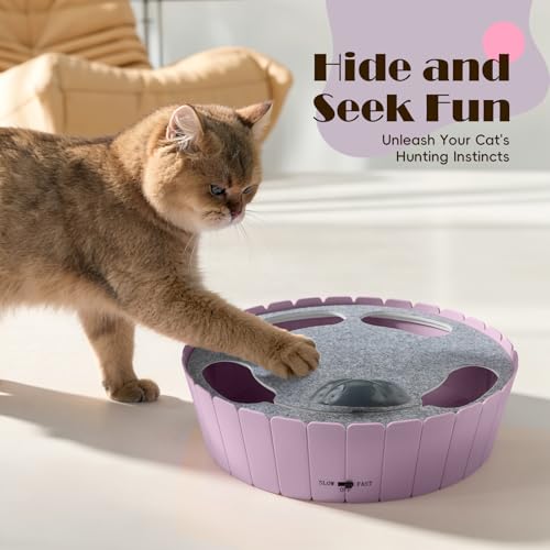 Pawaboo Interactive Cat Toy with Running Mouse, Automatic Track Kitten Toy - color: P-Purple