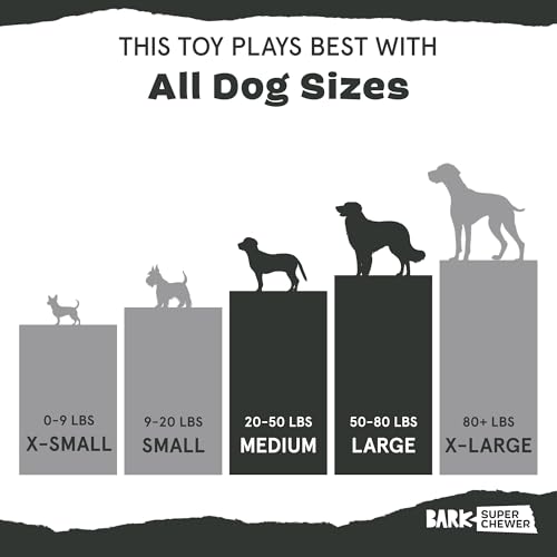 BarkBox Radius Super Chewer - Toy for Large Dogs - color: Radius, size: Medium/Large