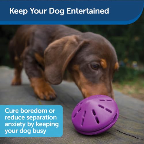 PetSafe Busy Buddy Twist 'n Treat Dispensing Dog Toy, Small - size: Small (Pack of 1)