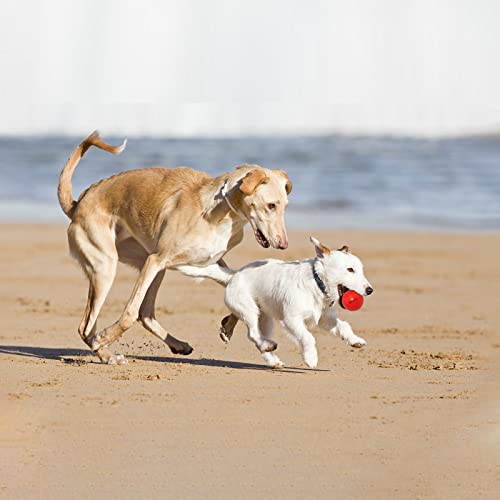 Dog Balls Indestructible,Solid Rubber Bouncy for Dogs Aggressive Chewers Small Breed,Non-Toxic&Floating&High Elasticity,Durable Fetch Ball Small to Chew,Play and Training - color: Red, size: 2 In(5cm)