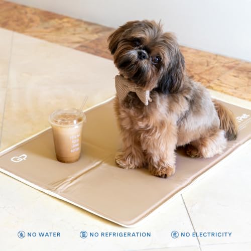 The Green Pet Shop Cool Pet Pad - Extra Small, Iced Latte - Self-Cooling, Pressure Activated Mat for Dogs & Cats from 0-8 lbs - Non-Toxic Gel, No Water Needed - color: Iced Latte, size: X-Small