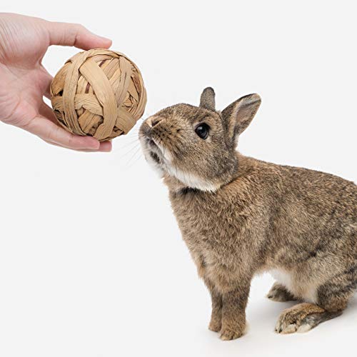 Niteangel Natural Chew Activity Toys: Meets Small Pet Chewing Needs & Mood - color: 3 Balls