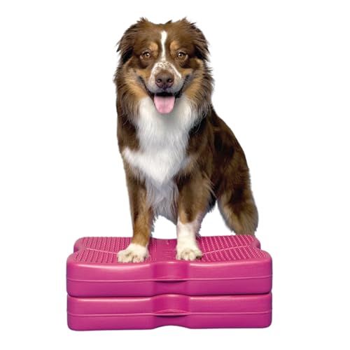 Blue-9 Propel Dog Training Platform Kit, Balance, Stability, Pink, 2-Pack - color: Pink