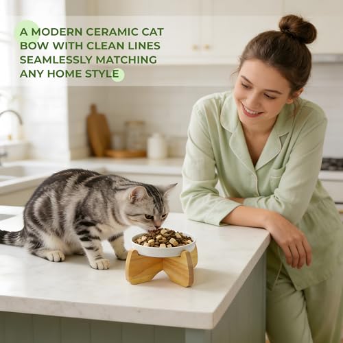 Raised Ceramic Cat Bowl 6.3" Wide Shallow Flat Bottom (2 Pack) - color: Raised Flat Bowl (2 Pack)