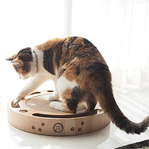 Interactive Track Ball Cat Scratcher