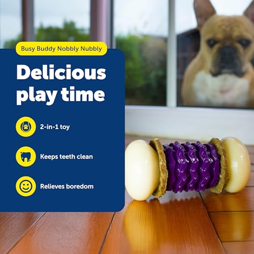 PetSafe Busy Buddy Nobbly Nubbly Treat Holding Dog Chew Toy, Small - size: Small, style: Nobbly Nubbly