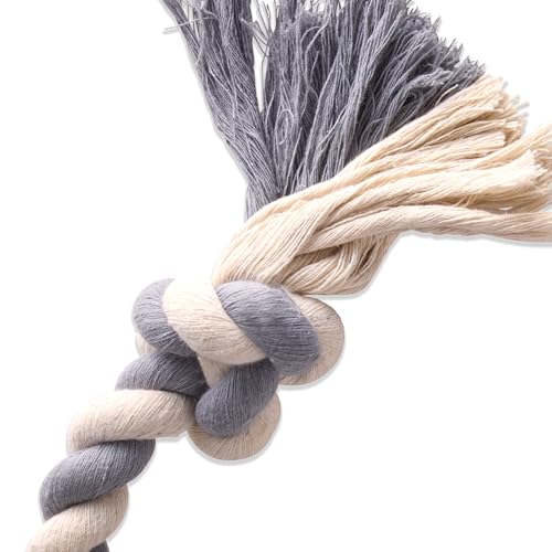 Pet Passion Natural Rubber Tire and Organic Cotton Rope Pull and Chew Dog Toy for All Pet Breeds, Gray, Small - color: Gray, size: Small