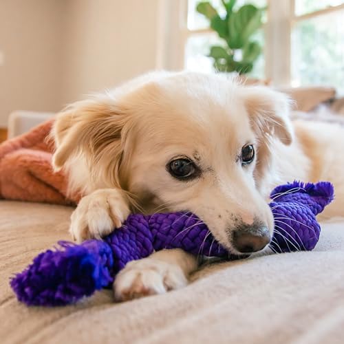 Playology Rope Dog Toys for Senior Dogs - Medium, Pork Sausage Scent - size: Medium Rope, style: Pork Sausage