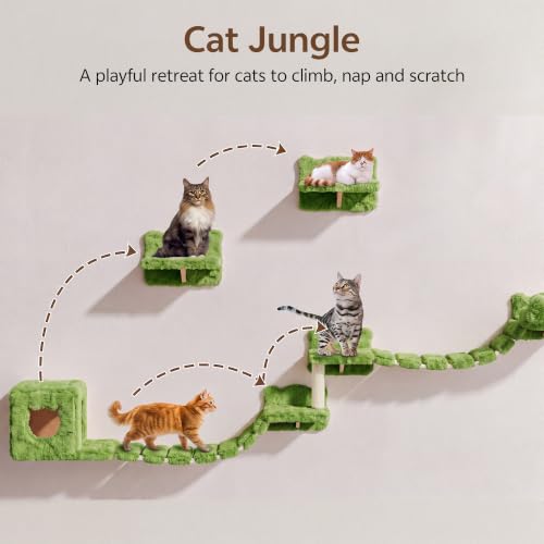 Cat Wall Shelves