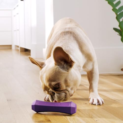 Playology Squeaky Chew Stick - Scented Dog Toy - Medium, Bacon Scent - size: Medium, style: Bacon