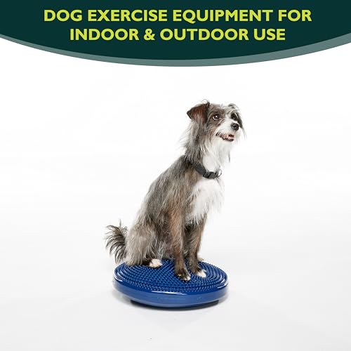 FitPaws® Dog Balance Disc, Exercise Equipment, Rehabilitation + Training, - color: Blue, size: 14"