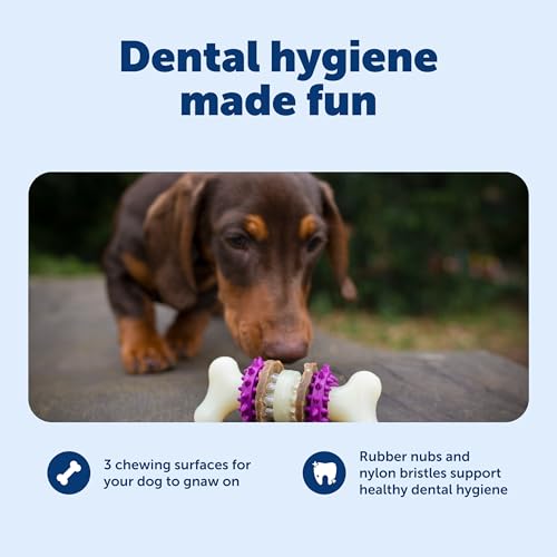 PetSafe Busy Buddy Bristle Bone Dog Treat Holding Chew Toy, Extra Small - size: Extra Small, style: Bristle Bone