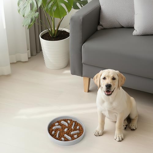 Ceramic Slow Feeder Dog Bowl, 2 Cups Maze Puzzle Dish to Slow Down Eating - color: Maze - Grey