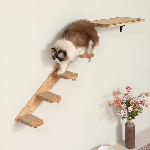 FUKUMARU Cat Climbing Shelf Wall Mounted, Large - size: Large - Bidirectional