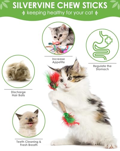 TINDTOP Cat Chew Toys, Silvervine Chew Sticks with 2 Pack Chew Ropes - color: 14 Pack