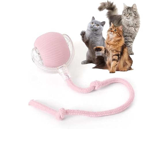 Rocfish Durable Interactive Cat Toys for Indoor Cats (Pink, 01) - color: pink01, size: 01