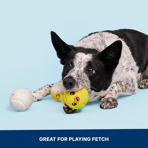 BarkBox Play Hatch Rubber Tennis Balls - for Dogs - color: Play Hatch