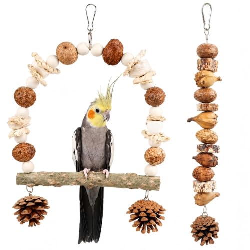2 Pack Natural Bird Toys for Parakeets, Bird Chew Toys with Wooden Perch HangingToy, Natural Wood Beads, Pine Cone, Corn Husk, Cuttlebone and Fruit Materials for Budgies, Cockatiels and Small Parrots