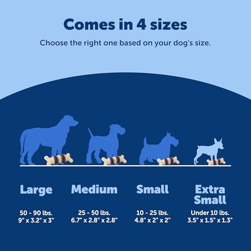PetSafe Busy Buddy Bristle Bone Dog Treat Holding Chew Toy, Extra Small - size: Extra Small, style: Bristle Bone