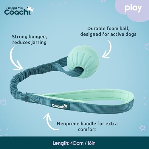 Coachi Puppy & Mini Tuggi Ball - Dog Toy for Tug of War & Play - style: Tuggi Ball