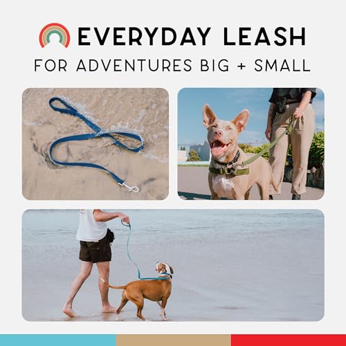 Wildebeest Funston Waterproof Dog Leash - Heavy Duty 4ft Long Leash for Small, Medium and Large Dogs - 1000D Nylon, Scratch & Stink-Resistant & Pill-Free - Nylon Wrap Handle (3/4" Wide, 4 ft Length) - color: Navy, size: 4 ft