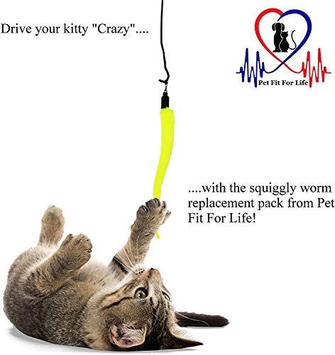 Pet Fit For Life 5 Piece Replacement Pack of Worms for Cat and Kitten Toy - style: 5 Squiggly Worms