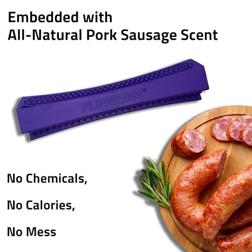 Playology Dental Chew Stick for Senior Dogs - Pork Scented - Medium - size: Medium Chew Stick, style: Pork Sausage