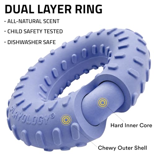 Playology Dual Layer Ring Dog Toy for Aggressive Chewers, Blueberry Scent - size: Jumbo, style: Blueberry