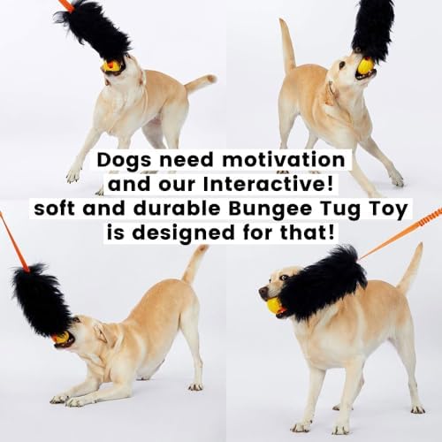 HOWGO Bungee Dog Toy, 100% Sheepskin Tug Rope (Purple, Long w/o Ball 2PC) - color: Purple, size: Long Without Ball 2Pack