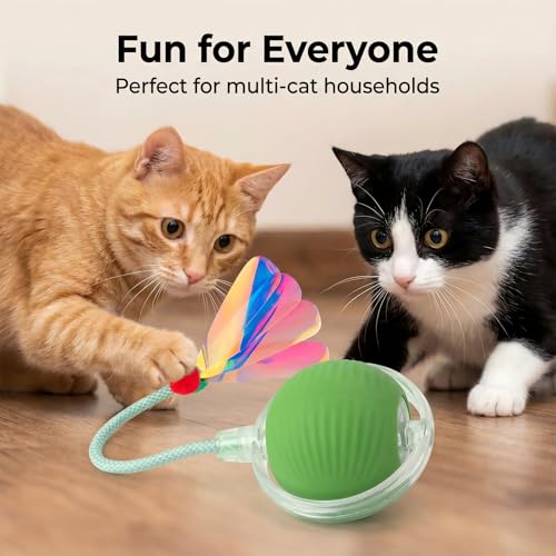 Interactive Cat Toy for Indoor Cats - Automatic Cat Toy Ball with Tail, Self Moving Electric Kitten Toys, USB Rechargeable Smart Rolling Ball, Motion Activated Cat Enrichment Toys for Bored Cats Green - color: Green