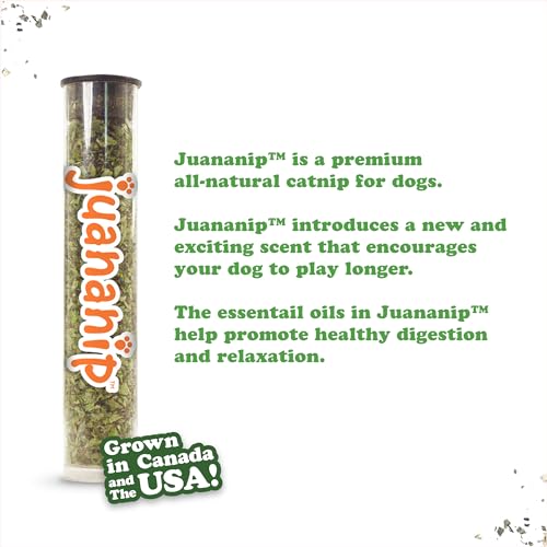 Doggijuana Mini Tuffer Chewer Dog Toy, Chicken Wing | Plush, Squeaky - size: Mini, style: Chicken Wing