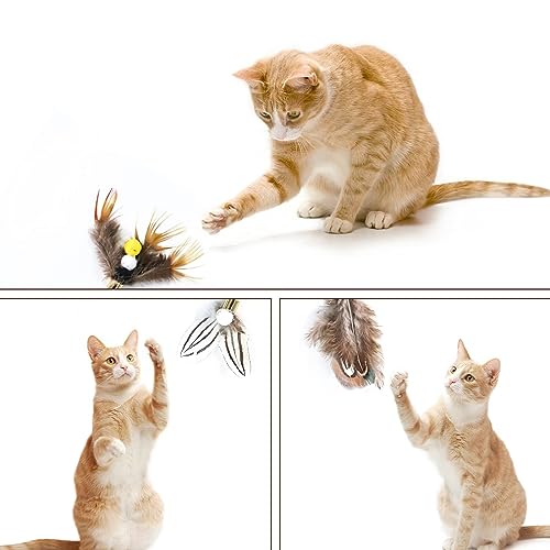 Cat Insect Feather Toys Replacement Cat Toy Wand Refills, 6 Pieces Natural Insect Cat Toy Feathers Refill, Interactive Cat Teaser Wand Attachments, with Bell - color: Style 1