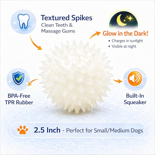 Squeaky Spiky Glow in the Dark Dog Ball for Teeth Cleaning & Gum Massage 2.5 Inch Small Medium Dogs | Spiny TPR Rubber Chew Toy Fetch Play Interactive Bouncy Dental Ball BPA Free Nontoxic Floats - size: Glow Ball 1-Pack