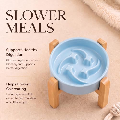 Elevated Ceramic Slow Feeder Dog Bowls Anti-Choking Slow Feeding for Small&Medium Size Anti-Slip Non-Lead & Toxic Durable Easy to Clean Maze Slow Feeder Bowl（8.26in Mint Blue Stars Pattern） - color: Mint Blue Stars Pattern, size: 1.6Cup