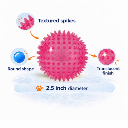 Squeaky Spiky Dog Ball for Teeth Cleaning & Gum Massage 2.5 Inch Small Medium Dogs Pink | Spiny TPR Rubber Chew Toy for Fetch Play Interactive Bouncy Dental Ball Durable BPA Free Nontoxic Floats - size: Pink Ball 1-Pack