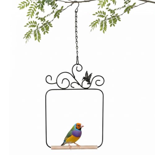 Hummingbird Swings and Perches 11.6x8.1in Humming Bird Swing