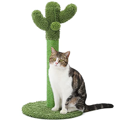 Made4Pets Cactus Cat Scratching Post for Indoor Cats with Plush Ball, 25.6" - size: Medium - 25.6"