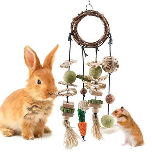 Bissap Bunny Chew Toy, Rabbits Cage Hanging Chew Toys and Treats Grapevine Wreaths Rattan Ring with Snacks for Guinea Pigs Chinchillas Hamsters Rats and Other Small Pets Teeth Grinding - size: 1 PCS