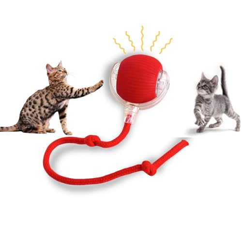 Interactive Cat Toy Ball – Automatic Self-Moving, Motion-Activated, USB-Rechargeable, Quiet LED Chase Modes, Indoor Exercise & Enrichment for Bored Cats & Kittens